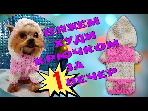 Видео: Crochet a simple sweater for a yorkie dog | Вяжем худи (свитер) для собаки крючком из плюшевой пряжи