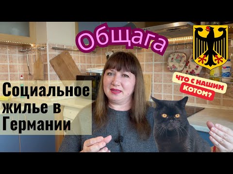 Видео: Общежитие для беженцев. Социальное жилье в Германии. Социальный работник