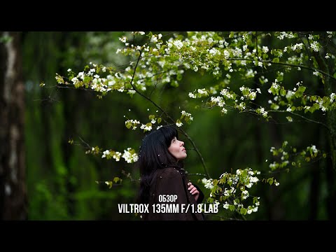 Видео: Очень хороший портретник. Обзор Viltrox 135mm f/1.8 LAB для Sony и Nikon