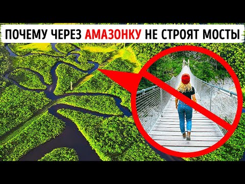 Видео: Что мешает строить мосты через Амазонку?