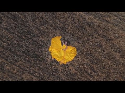 Видео: Прохор Шаляпин - Платье (муз. А Морозов, сл. Н.Зиновьев)