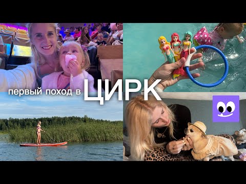Видео: ИГРУШКИ ДЛЯ НЫРЯНИЯ 🤿 ЗАКУП ОДЕЖДЫ ДЛЯ СОБАК (и кошек) ИЗ ЗООЗАВРА 🐕‍🦺 ПЕРВЫЙ ПОХОД В ЦИРК 🎪
