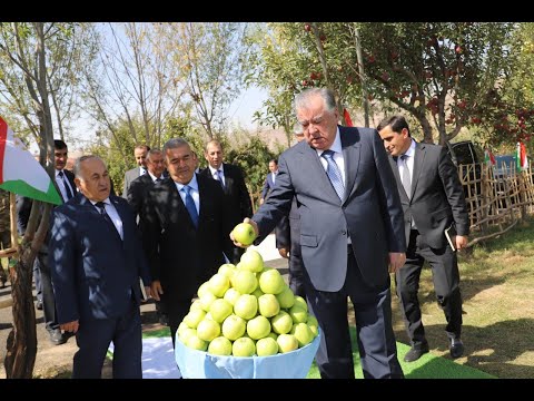 Видео: Пешвои миллат Эмомалӣ Раҳмон дар ноҳияи Файзобод аз боғи хоҷагии деҳқонии Солеҳҷон боздид намуданд