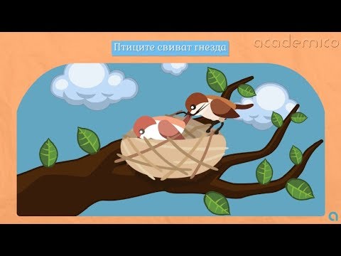 Видео: Размножаване на организмите - Човекът и природата 3 клас | academico