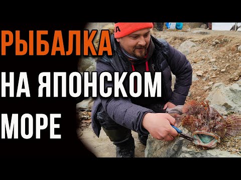 Видео: Рыбалка на Японском море, рыба, снасти, особенности.