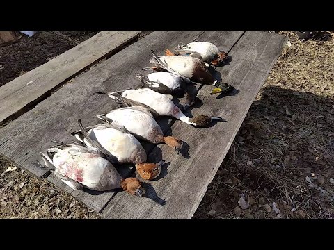 Видео: Весна, Рыбалка на фитили, Охота на уток