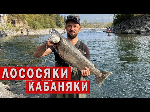 Видео: 😻ЛОСОСЕВА РИБАЛКА В КАНАДІ. Британська Колумбія.