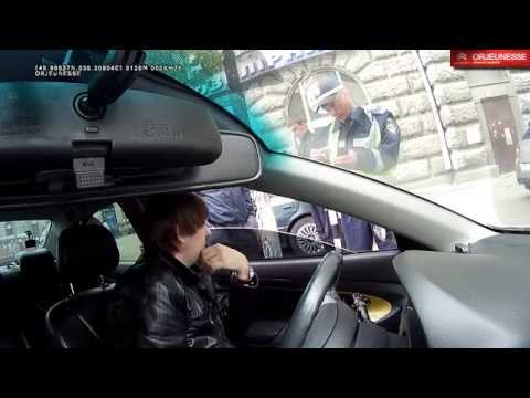 Видео: Олень на службе в ГАИ part 1