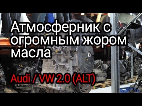 Видео: 5 клапанов на цилиндр и масложор: что не так с двигателем Audi / VW 2.0 (ALT)?