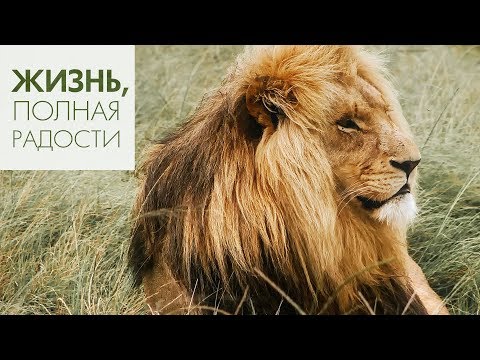 Видео: Джойс Майер: Вооружён и опасен ч. 1