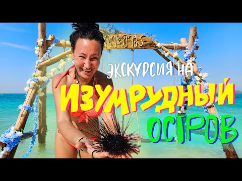 Видео: Экскурсия из Паттайи. Едем на Изумрудный Остров Ко Кхай. Черепаший Питомник и Музей Старой Техники
