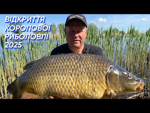 Видео: ДВА ДНІ НА ПЛАТНІЙ ВОДОЙМІ✅Саме КАЙФОВЕ відкриття коропового сезону 2025🐟🐟🐟