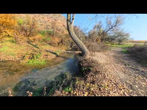 Видео: Михайловский родник и его окрестности .