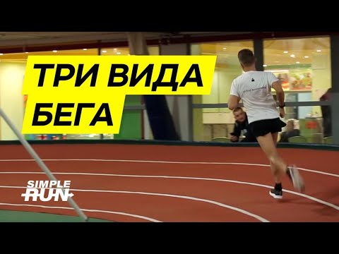 Видео: Три вида бега и план тренировок🏃 Виктор Осокин