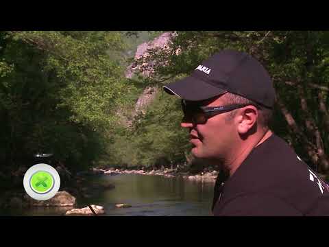 Видео: Републиканско първенство по улов на пъстърва