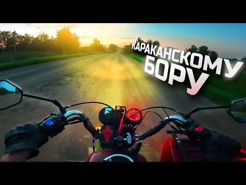Видео: К Караканскому бору / Часть 1 / Мотопутешествие