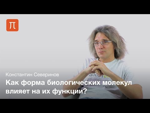 Видео: Взаимодействие макромолекул — Константин Северинов