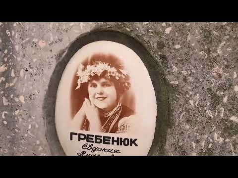 Видео: Исторический Никополь.