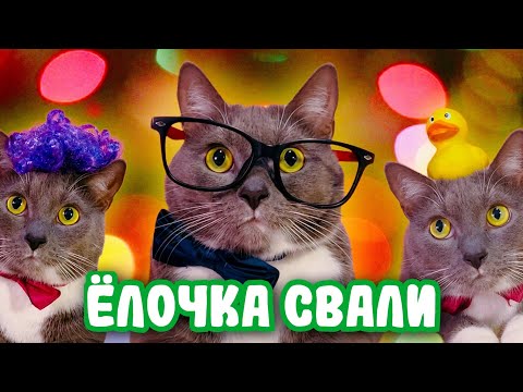 Видео: КОТИКИ ГОТОВЯТСЯ К НОВОМУ ГОДУ!