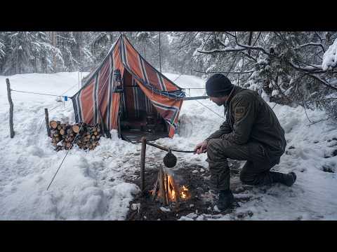 Видео: Попали в метель с собакой в ​​весеннем лагере