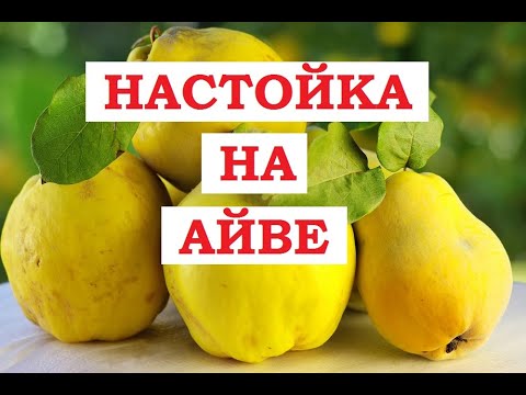 Видео: Настойка на айве