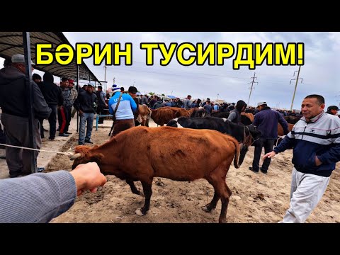 Видео: ЕШКИЛЕР КӨТЕРИЛДИ! 1-ОКТЯБР ҚАРАӨЗЕК МАЛ БАЗАРЫ БАХАЛАРЫ ӨЗГЕРДИ!