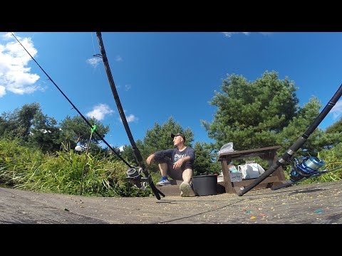 Видео: Акулово. Платная рыбалка в Подмосковье. Бешеный клев карпа на искусственную кукурузу и флэт! 12,5кг