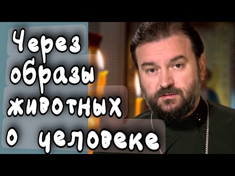 Видео: Смотреть на небо только перед смертью - это свинство. Отец Андрей Ткачёв