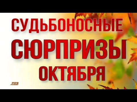 Видео: ♣️♥️ ЛЕВ,♥️♣️  ♌️ , СУДЬБОНОСНЫЕ 🕊️СЮРПРИЗЫ 🍁🍂 ОКТЯБРЯ, Таро,прогнозы, гороскопы,лев октябрь,