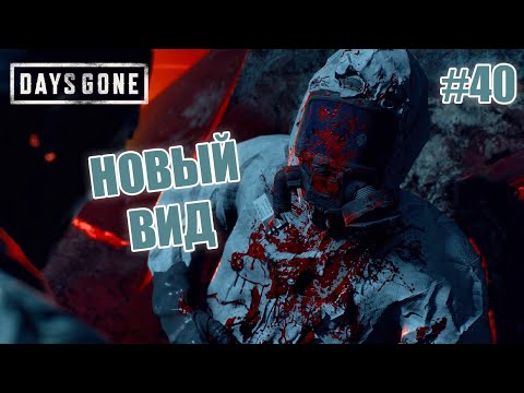 Видео: НОВЫЙ ВИД - Days Gone #40