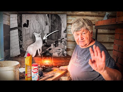 Видео: ЛИСА ПРОНИКЛА В ДОМ. Мама поразила всех одной историей.