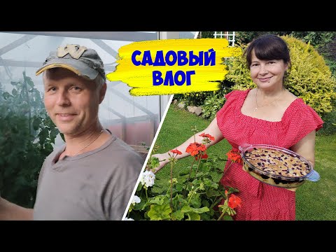 Видео: Опять СТРОЙКА! Паутинный клещ в теплице - что делать? Яблочный пирог на скорую руку, чаепитие.