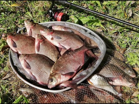 Видео: Секретные места Припяти! Ловля на Фидер!