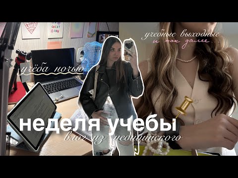 Видео: ПЕРВАЯ НЕДЕЛЯ В МЕДИЦИНСКОМ на 2 курсе | влог студента | учёба на выходных | неделя из жизни