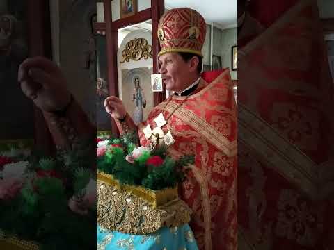 Видео: Милостыня: подавать или нет?