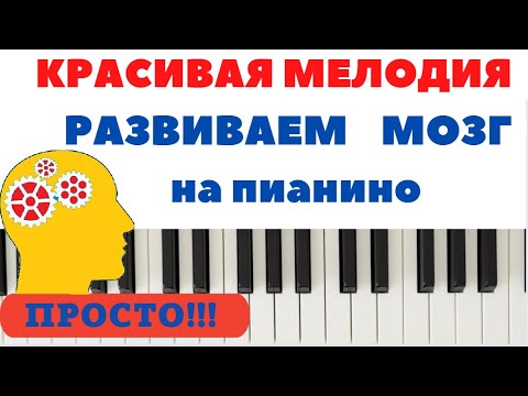 Видео: Красивая мелодия. ПРОСТО и ПОЛЕЗНО! УПРАЖЕНИЯ для развития мозга! (Может сыграть каждый)