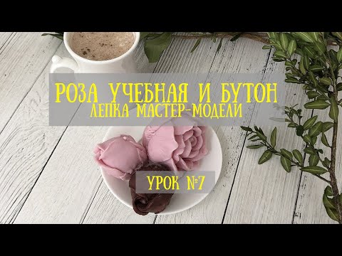 Видео: Роза учебная и бутон. Лепка мастер-модели МК. школа ФОРМОДЕЛОВ. первый класс
