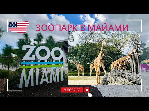 Видео: 🇺🇸 Самый Большой Зоопарк во Флориде🏝️