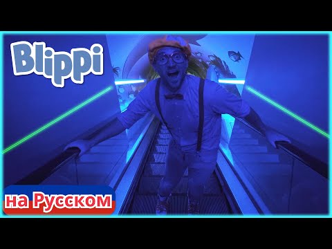 Видео: Блиппи идет в океанариум! | Блиппи на Русском | Изучай этот Мир вместе с Блиппи | Blippi