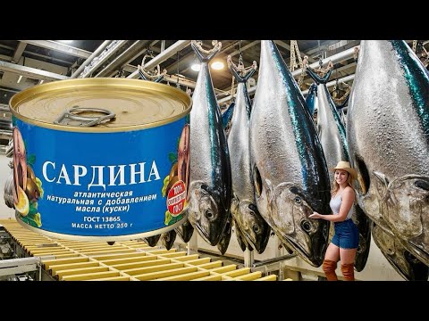 Видео: Как МИЛЛОНЫ банок сардин изготавливают на фабрике. Уникальные кадры!