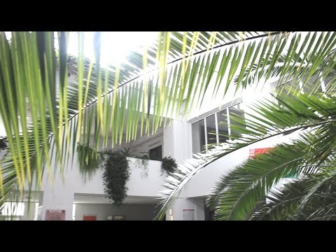 Видео: День Открытых Дверей на биологическом факультете - Open Door Day