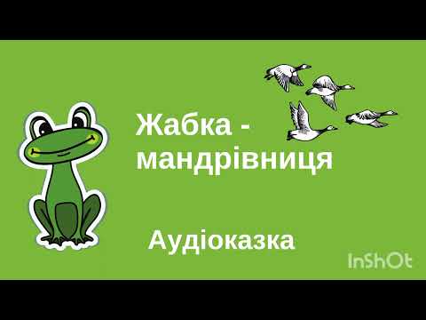 Видео: Жабка-мандрівниця.