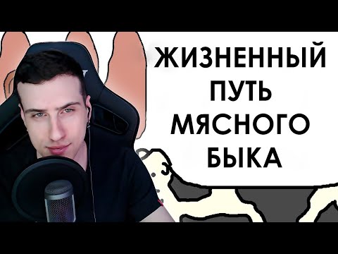 Видео: Жизненный путь мясного быка | Реакция На Академия Сэма Онеллы
