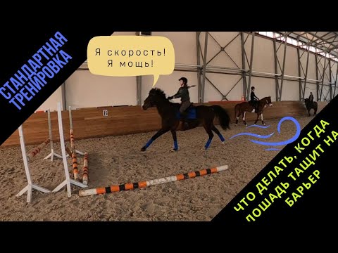Видео: Новая, но очень хорошая лошадка. Что делать, если лошадь тащит на барьер!?