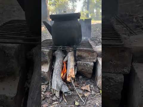 Видео: Готовим чай на природе 🫖 #природа #чай #рыбалка