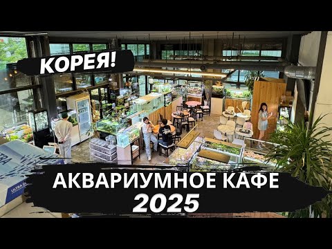 Видео: Красивейшие АКВАСКЕЙПЫ в Кофейне!!! (Южная Корея )
