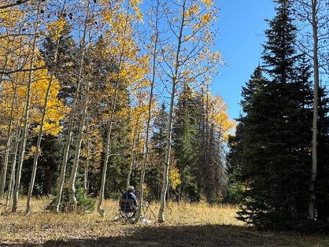 Видео: Ветреная акварель на пленэре