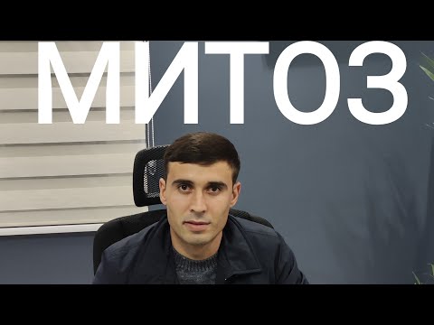 Видео: МИТОЗ
