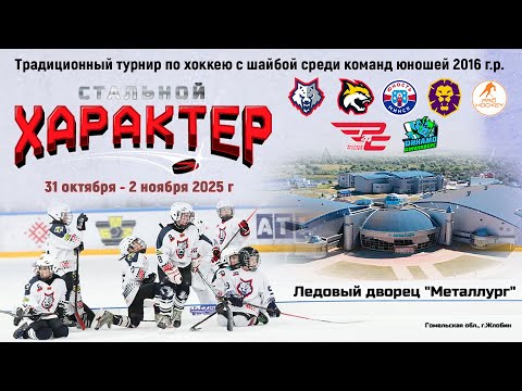 Видео: 2.11.2025. СХ. 2016. За 3-е. Металлург - Pro Hockey