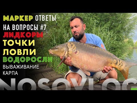 Видео: Карпфишинг в вопросах и ответах, Колесников А., часть 7